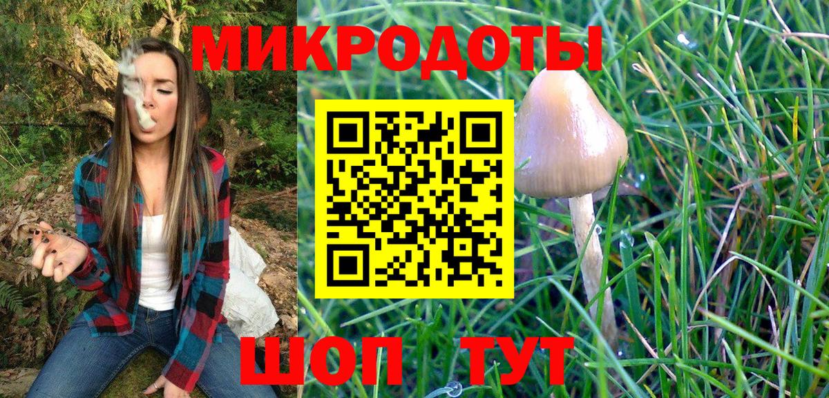 Галлюциногенные грибы Magic Shrooms  как найти закладки  Владикавказ  Вход с VPN 